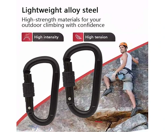 Steel Carabiner
